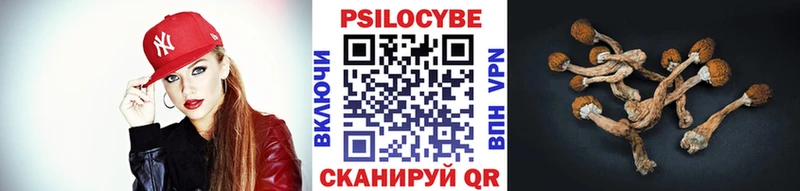 купить   Калтан  mega ссылка  Галлюциногенные грибы Cubensis 